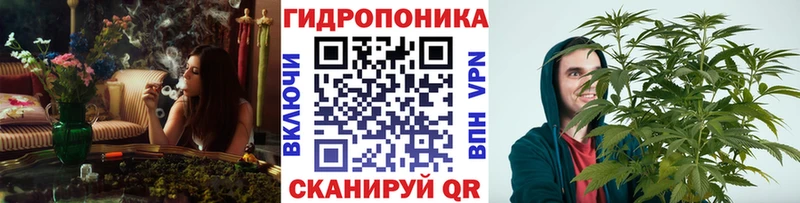что такое наркотик  Славск  Бошки марихуана марихуана 